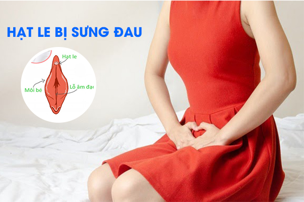 Hạt le bị sưng đau do đâu?