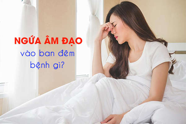 Ngứa âm đạo vào ban đêm là bệnh gì?